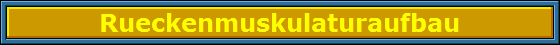 Rueckenmuskulaturaufbau